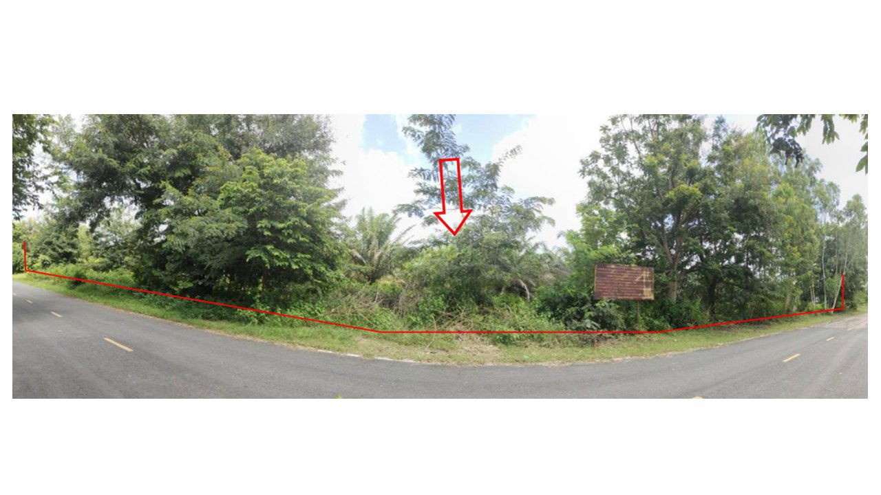 picture ที่ดินเปล่า 8000 square meter Mukdahan Nikhom Kham Soi Nikhom Kham Soi for 3060000 THB - 2/3