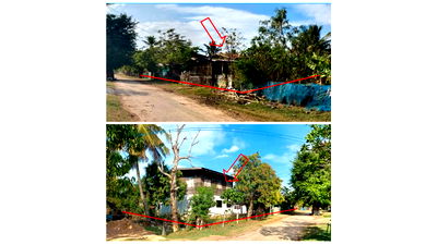 Houses for sale Roi Et : บ้านเดี่ยว 2044 square meter Roi Et Kaset Wisai Lao Luang for 1223000 THB
