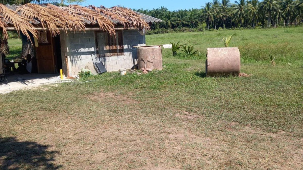 picture Land for Sale – Ideal for Investment in Chumphon, Thailand. Just 5 Minutes from the Beach. Total Area: 6 Rai, 1 Ngan, 96.7 Square Wah - 6/8