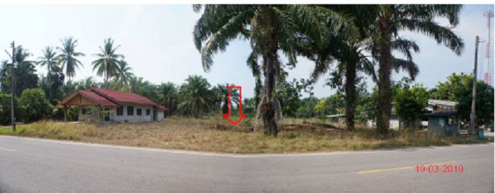 picture ที่ดินเปล่า 1752 square meter Krabi Nua Khlong Talingchan for 2554000 THB - 1/2