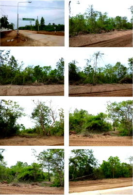 Land for sale Lamphang : ที่ดินเปล่า 12432 square meter Lamphang Ko Kha Mai Pattana for 1321000 THB