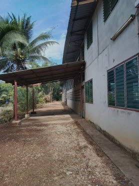 รูป โรงงาน เนื้อที่ทั้งหมด 3859.2 ตารางเมตร 81 หมู่ 3 ตำบลทุ่งกระบือ อำเภอย่านตาขาว ตรัง ราคา 1,875,000 บาท - รูปที่ 6/12