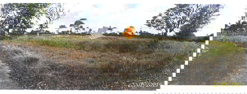 ที่ดินเปล่า 1688 square meter Chonburi Bang Lamung Khao Mai Kaeo for 615000 THB