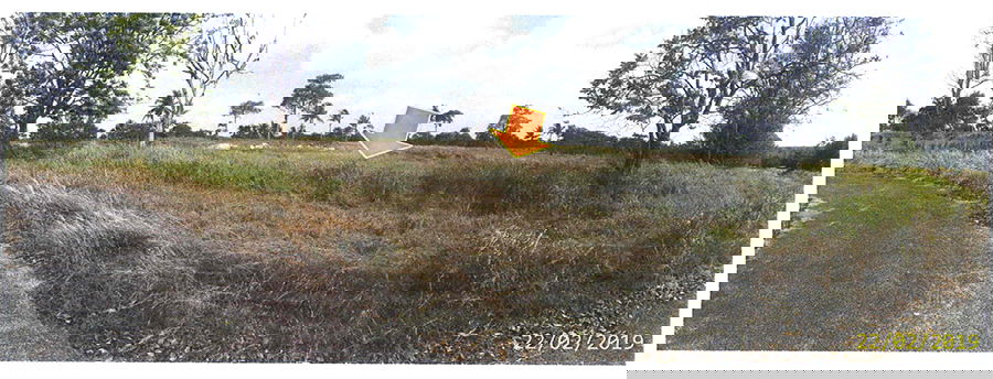 picture ที่ดินเปล่า 1688 square meter Chonburi Bang Lamung Khao Mai Kaeo for 615000 THB - 1/3
