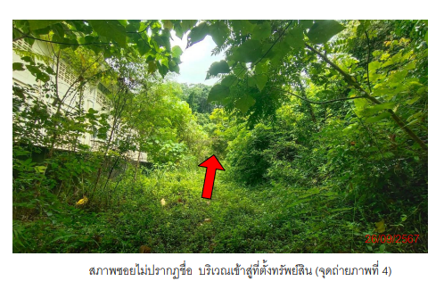 picture ที่ดินเปล่า 23801.2 square meter Krabi Muang Krabi Nong Tale for 52363000 THB - 4/7