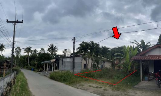 picture ตึกแถว 2696.8 square meter Nakhon Sri Thammarat Phi Pun Phi Pun for 2940000 THB - 3/6