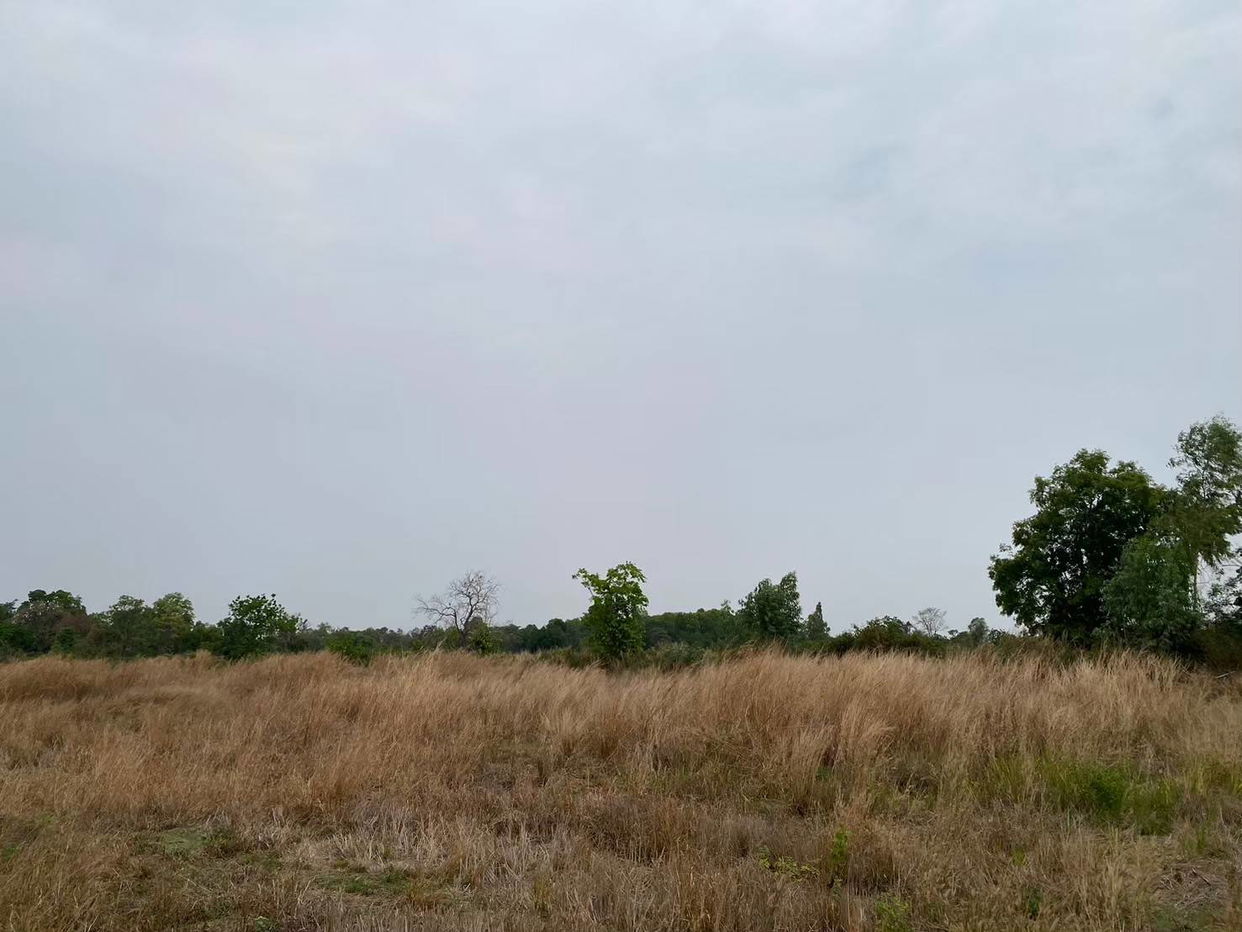 picture ที่ดินเปล่า 8984 square meter Buri Ram Lam Plai Mat Nong Kathing for 4773000 THB - 5/7