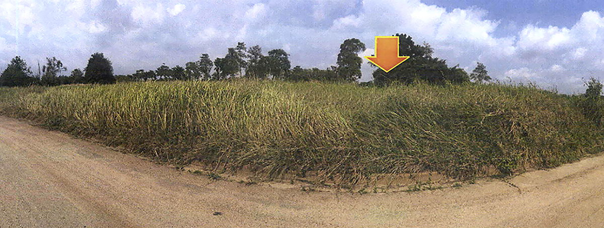 picture ที่ดินเปล่า 1688 square meter Chonburi Bang Lamung Khao Mai Kaeo for 615000 THB - 1/3