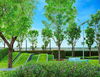 listing thumbnail image 14
