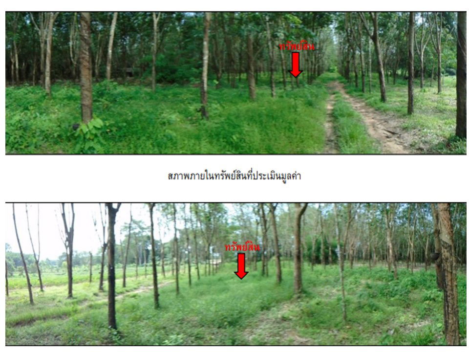 picture ที่ดินเปล่า 14132 square meter Ubon Ratchathani Na Chaluai Na Chaluai for 2865000 THB - 2/3