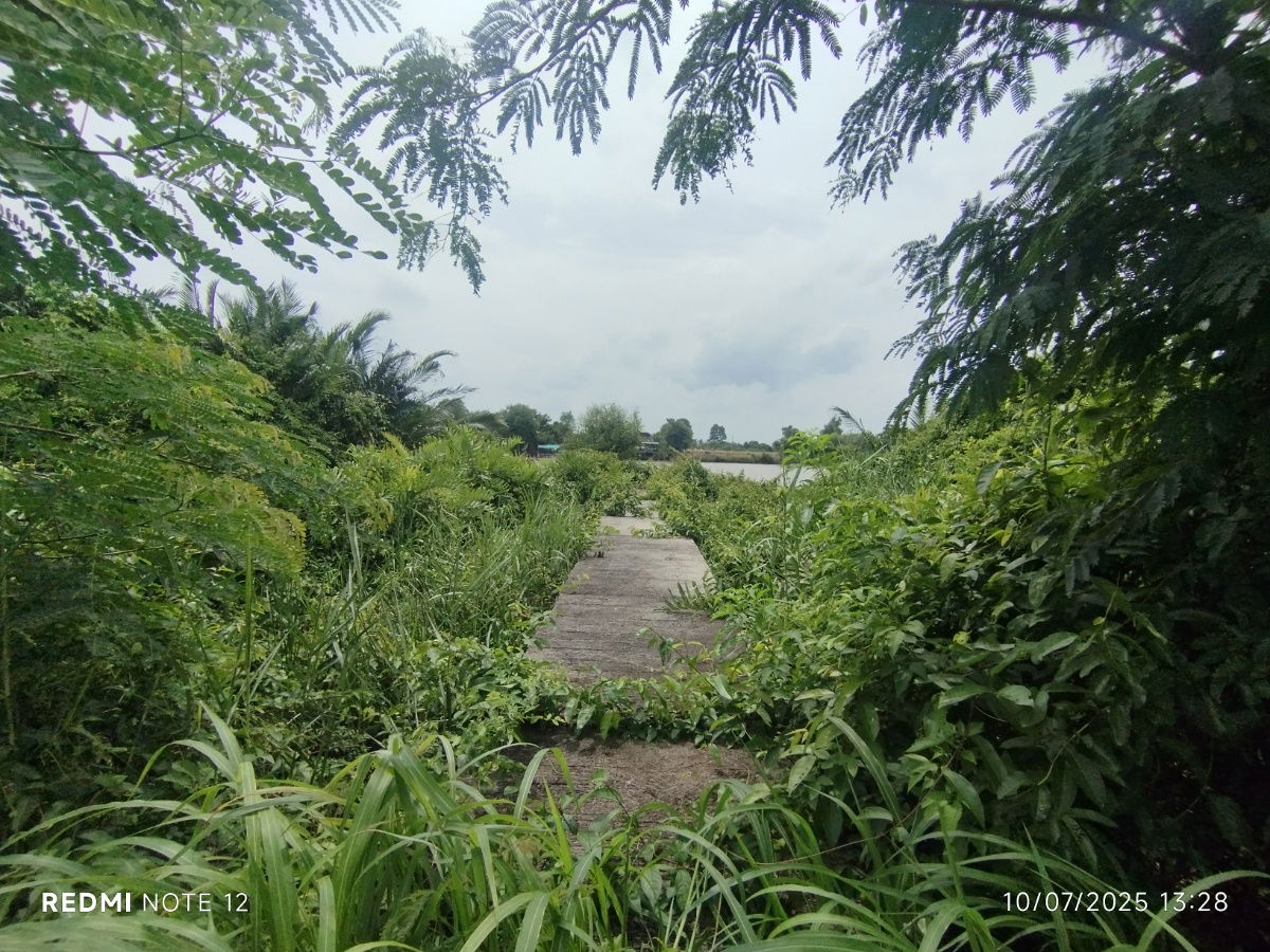 picture 🌿Riverside Land For Sale 9+ Rai Land with Bangpakong River View, Hua Sai, Bang Khla - Perfect for Investment & Various Eco-Business Development - 6/7