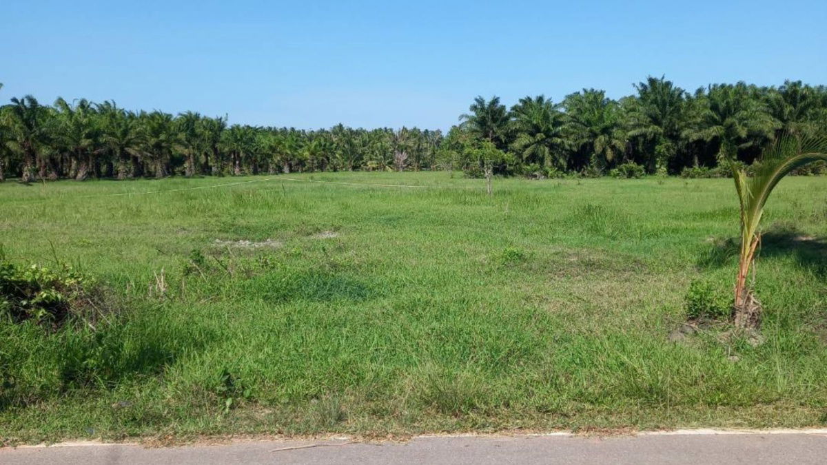 picture Land for Sale – Ideal for Investment in Chumphon, Thailand. Just 5 Minutes from the Beach. Total Area: 6 Rai, 1 Ngan, 96.7 Square Wah - 5/8