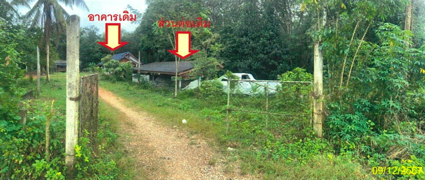 picture บ้านเดี่ยว 772 square meter Phatthalung Pa Bon Wang Mai for 534000 THB - 2/4