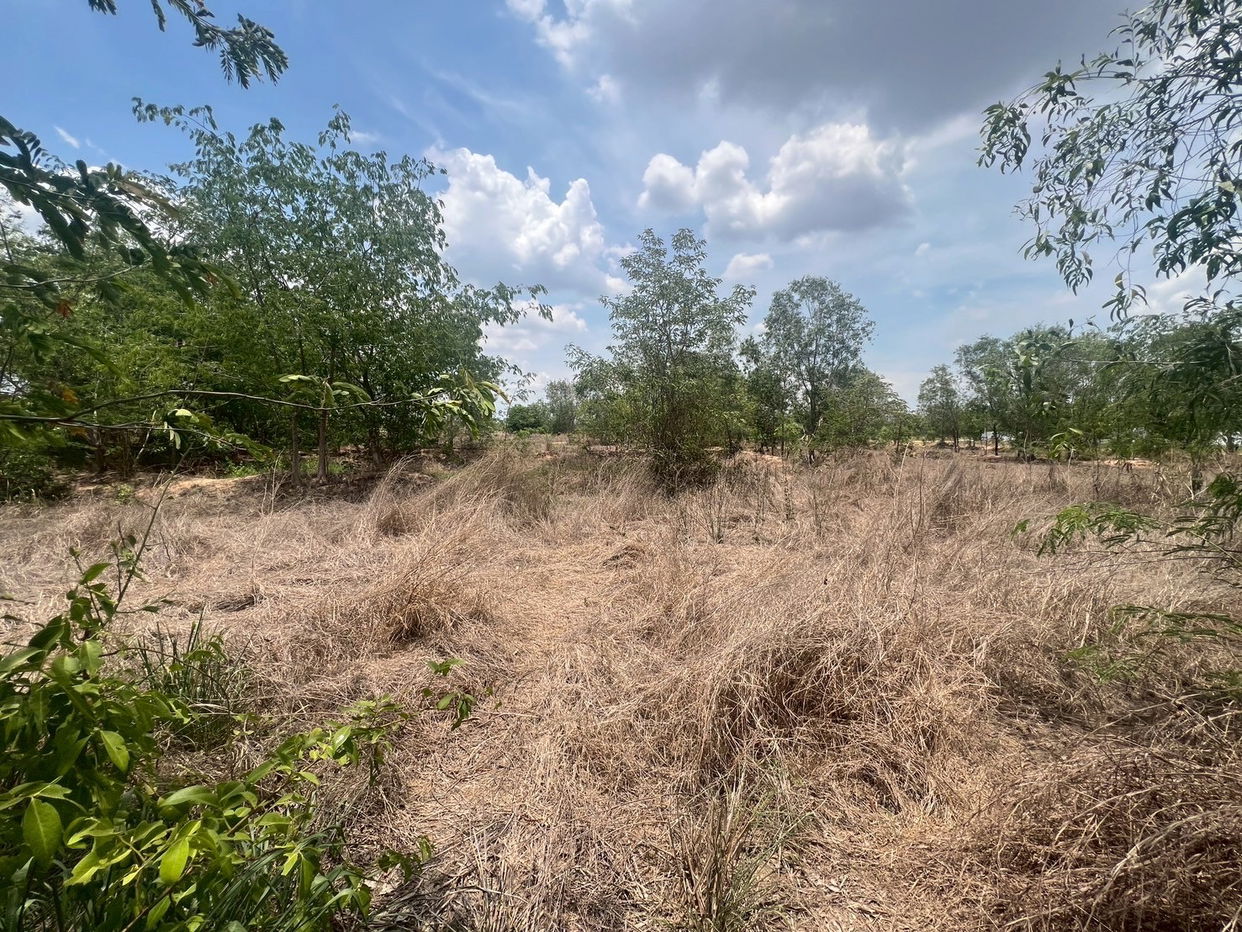 picture ที่ดินเปล่า 8000 square meter Maha Sarakham Muang Maha Sarakham Khwao for 3124000 THB - 6/12