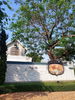 listing thumbnail image 21