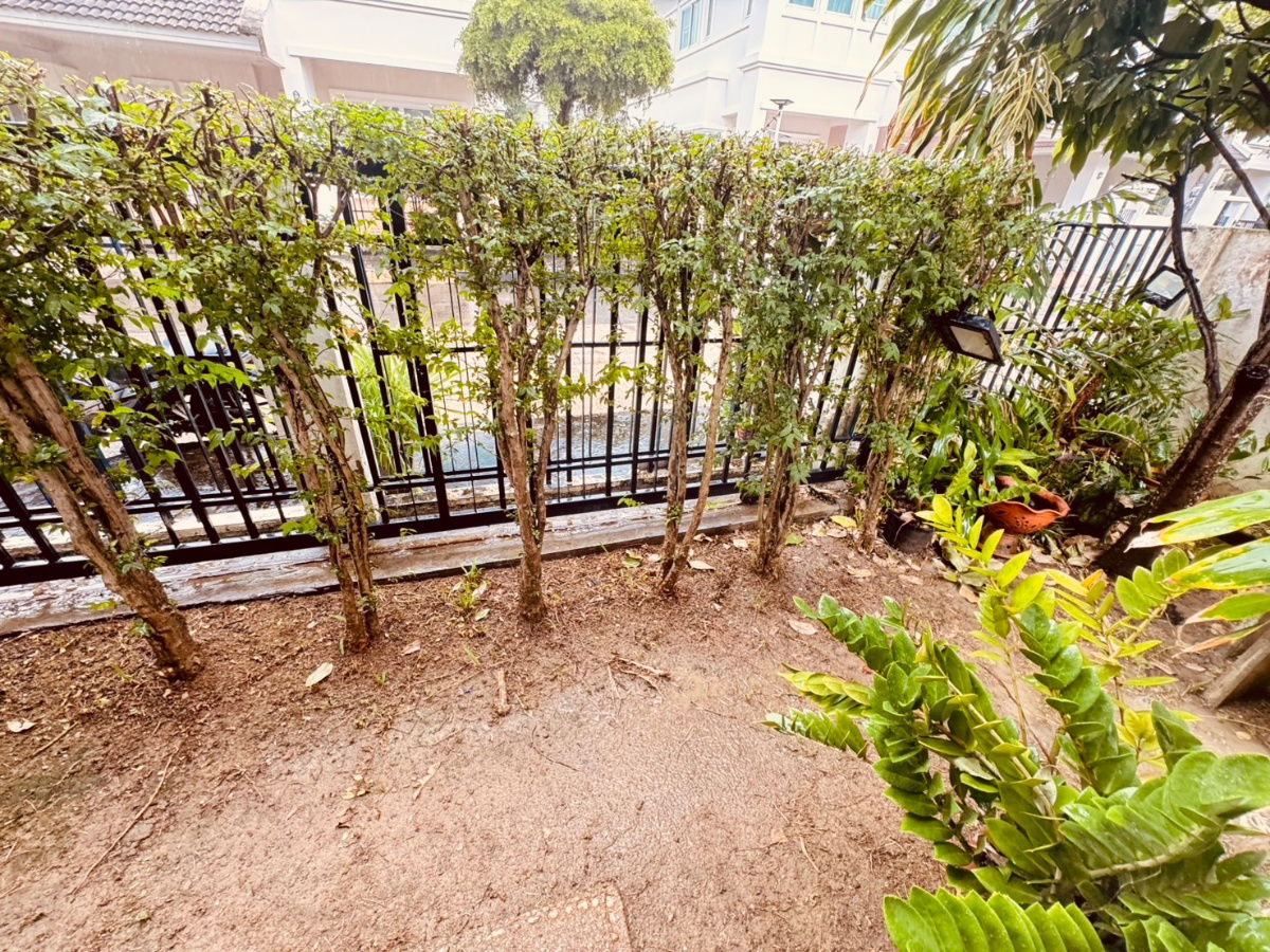 picture House for RENT! Close to Town near Big-C shopping mall, Central Festival, Fresh Market and etc. - 3/21