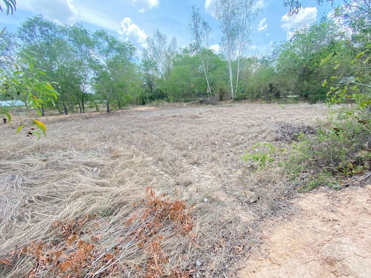 picture ที่ดินเปล่า 8000 square meter Maha Sarakham Muang Maha Sarakham Khwao for 3124000 THB - 8/12