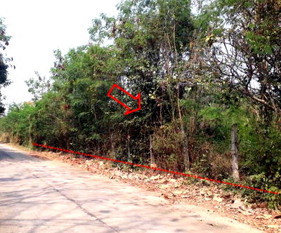 Land for sale Chum Phae Khon Kaen : ที่ดินเปล่า 1136.8 square meter Khon Kaen Chum Phae Chum Phae for 1088000 THB