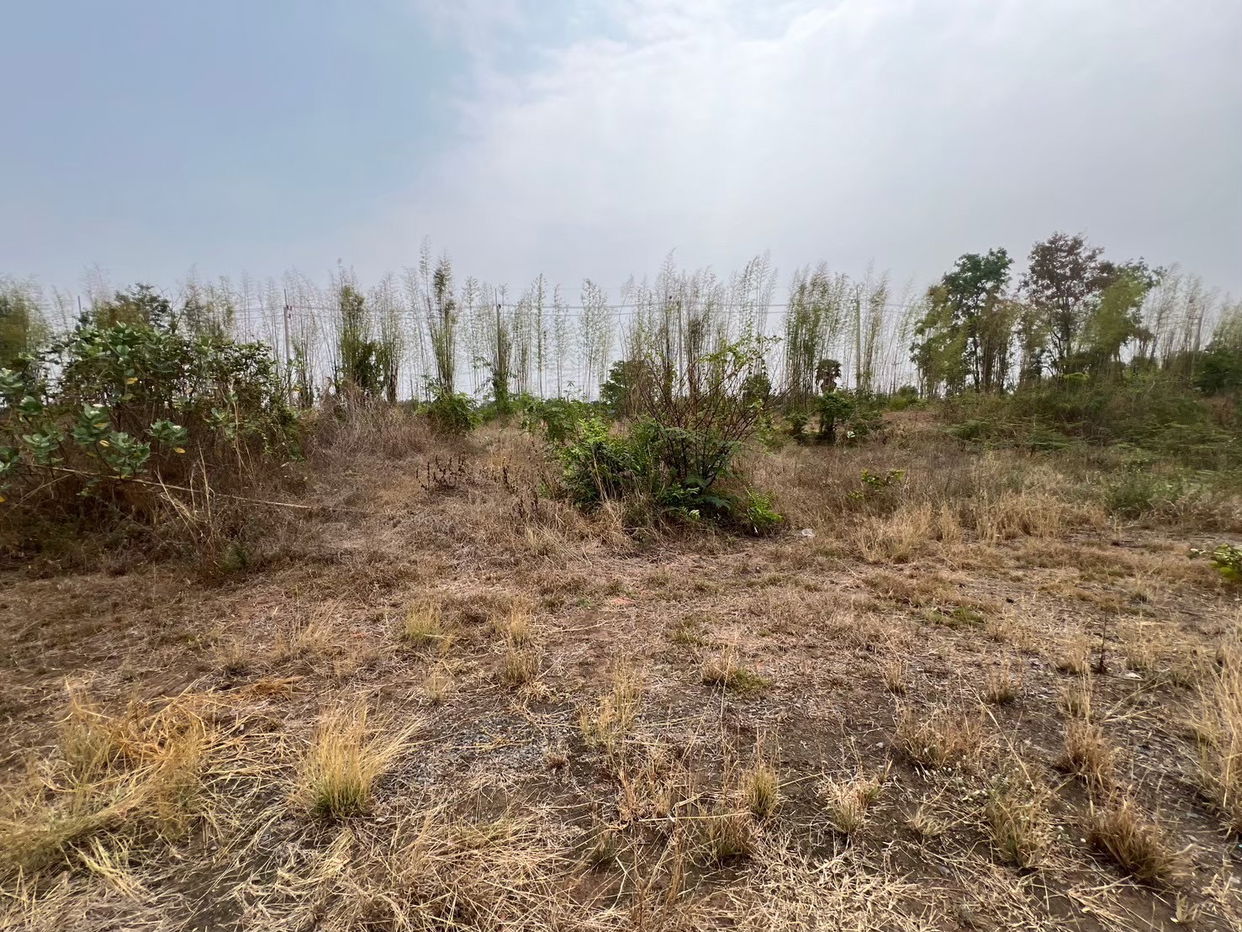picture ที่ดินเปล่า 57444 square meter Buri Ram Lam Plai Mat Nong Khu for 30518000 THB - 3/9