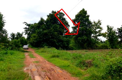 Land for sale Khon Kaen : ที่ดินเปล่า 3070.4 square meter Khon Kaen Ban Fang Ban Fang for 1098000 THB