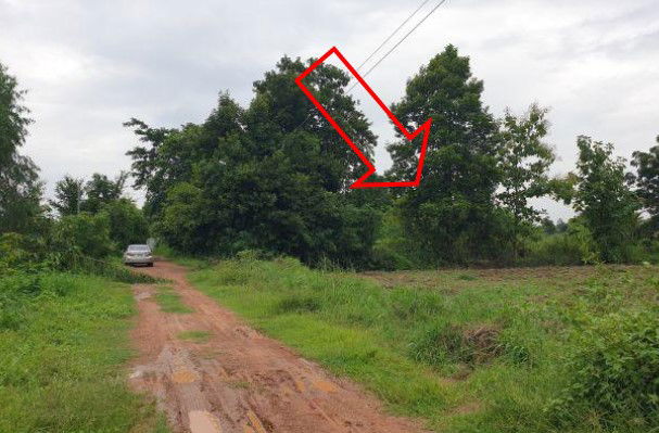 picture ที่ดินเปล่า 3070.4 square meter Khon Kaen Ban Fang Ban Fang for 1098000 THB - 1/4