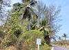 listing thumbnail image 1