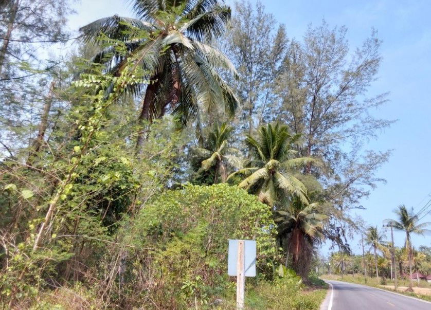 picture ที่ดินเปล่า 8073.2 square meter Phangnga Takua Pa Kheuk Khak for 14583000 THB - 2/4