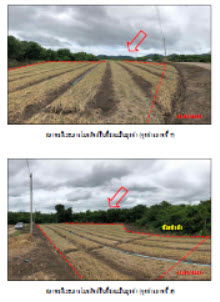 picture ที่ดินเปล่า 2656 square meter Lamphun Pa Sang Nakhon Chedi for 172000 THB - 1/3