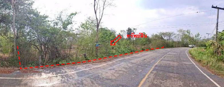 picture ที่ดินเปล่า 32500 square meter Nong Bua Lam Phu Muang Nong Bua Lam Phu Nong Bua for 10994000 THB - 1/2