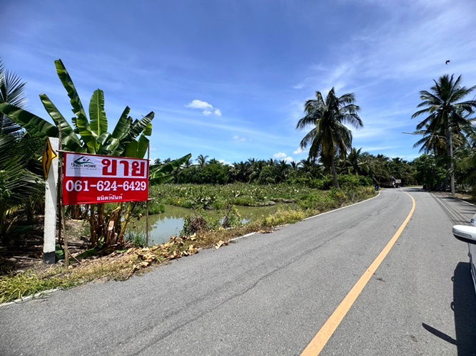 picture Land for sale, fruit orchard, Sam Phran District, Khlong Chinda Subdistrict, Nakhon Pathom, 25 rai (N.1737) - 7/8
