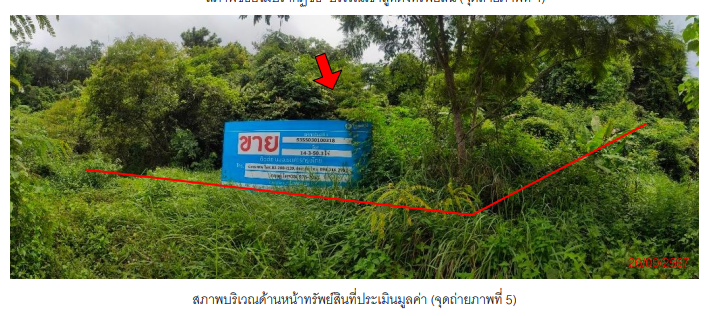 picture ที่ดินเปล่า 23801.2 square meter Krabi Muang Krabi Nong Tale for 52363000 THB - 5/7