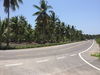 listing thumbnail image 13