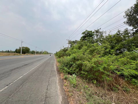 ที่ดินเปล่า 8984 square meter Buri Ram Lam Plai Mat Nong Kathing for 4773000 THB