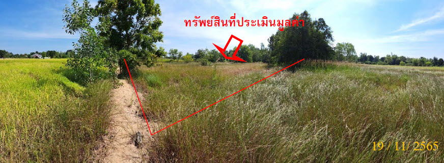 picture ที่ดินเปล่า 8000 square meter Maha Sarakham Muang Maha Sarakham Khwao for 3124000 THB - 2/12