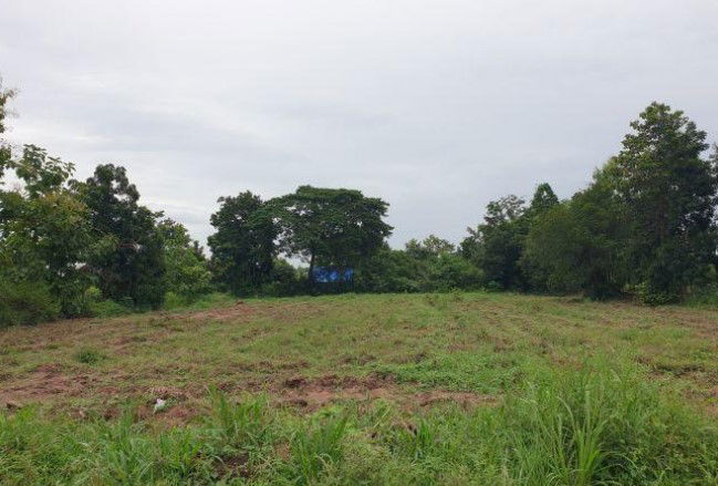 picture ที่ดินเปล่า 3070.4 square meter Khon Kaen Ban Fang Ban Fang for 1098000 THB - 2/4