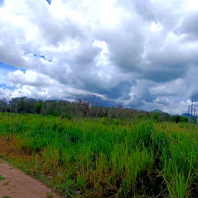 ที่ดิน นิคมราชชลบุรี : ขายที่ดินบ่อวิน ศรีราชา พื้นที่สีเหลือง แปลงสวย เขตเขาขยาย
