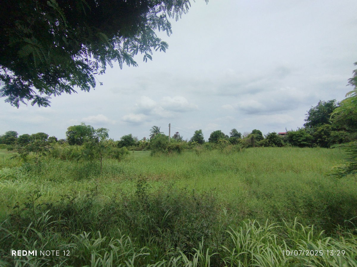 picture 🌿Riverside Land For Sale 9+ Rai Land with Bangpakong River View, Hua Sai, Bang Khla - Perfect for Investment & Various Eco-Business Development - 7/7