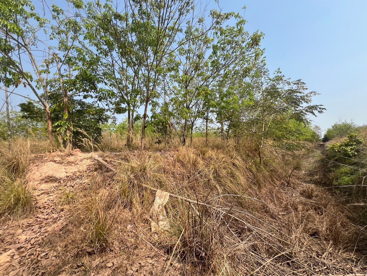 picture ที่ดินเปล่า 152368 square meter Sakon Nakhon Kham Ta Kla Nong Bua Sim for 5333000 THB - 7/12