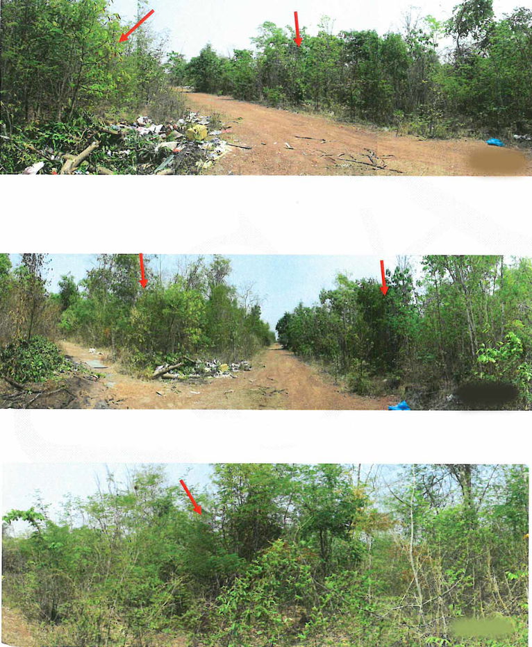 picture ที่ดินเปล่า 28580 square meter Lamphang Mae Tha Nam Cho for 0 THB - 1/2