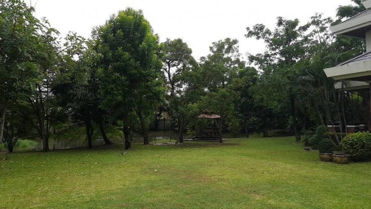 picture 🎊Single-family house in Chaeng Watthana-Don Mueang with garden for rent🎊 - 4/20