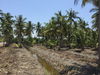 listing thumbnail image 15