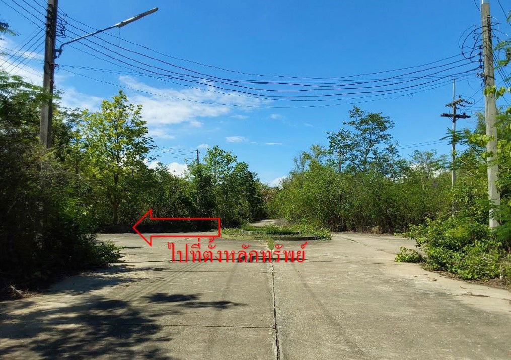 picture ที่ดินเปล่า 1117.6 square meter Lamphun Muang Lamphun Ma-khua Chae for 350000 THB - 5/7