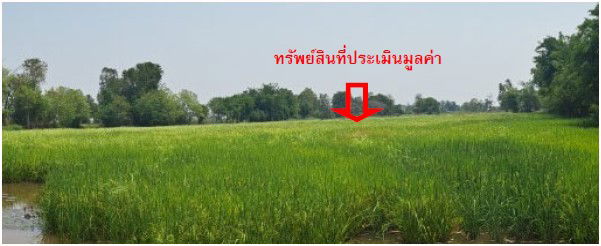 picture ที่ดินเปล่า 23448 square meter Maha Sarakham Kantharawichai Ma Kha for 2289000 THB - 4/7
