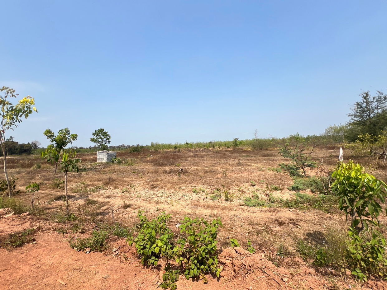 picture ที่ดินเปล่า 152368 square meter Sakon Nakhon Kham Ta Kla Nong Bua Sim for 5333000 THB - 3/12