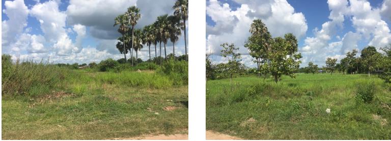 picture ที่ดินเปล่า 10404.8 square meter Si Sa Ket Muang Si Sa Ket Muang Tai for 8077000 THB - 1/4