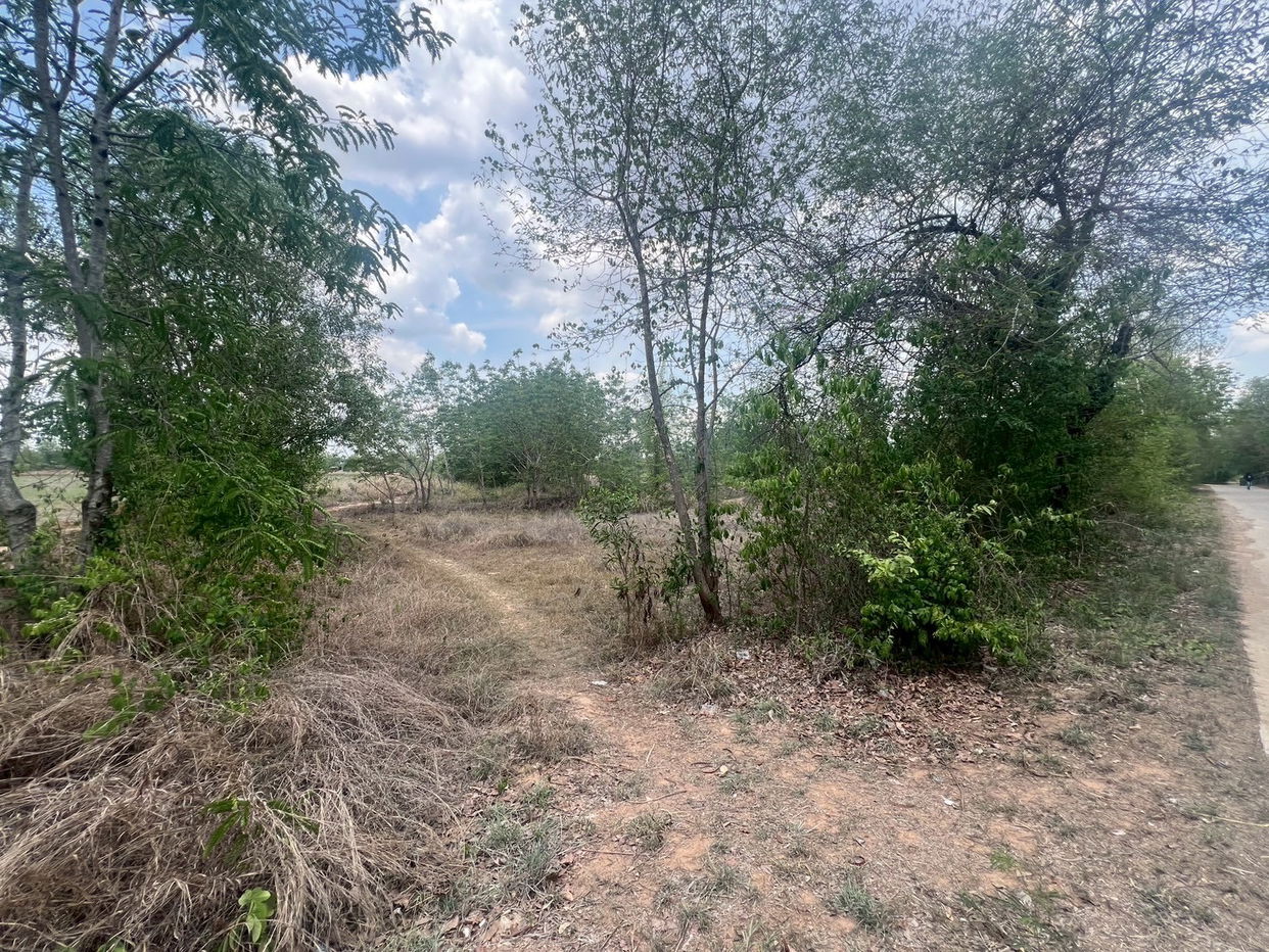 picture ที่ดินเปล่า 8000 square meter Maha Sarakham Muang Maha Sarakham Khwao for 3124000 THB - 7/12