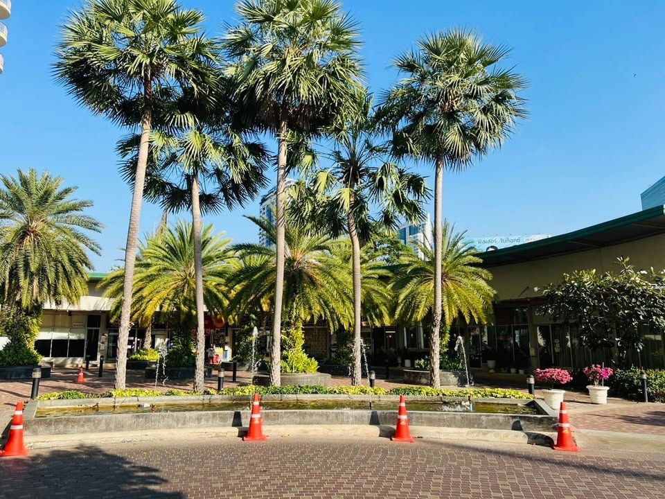 รูป ✨ ขายคอนโด รีโนเวทใหม่ ห้องเปล่า ✨ 💸 ราคาดี – คุ้มค่า ทั้งอยู่อาศัยเองหรือซื้อเพื่อการลงทุน - รูปที่ 12/15