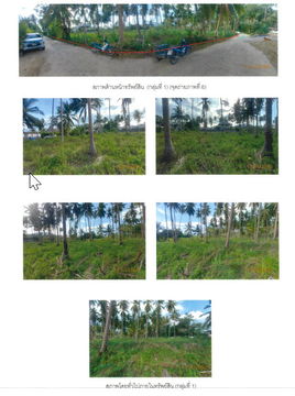 ที่ดินเปล่า 3192.8 square meter Surat Thani Ko Samui Na Muang for 19157000 THB