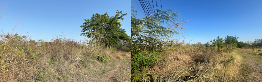 picture ที่ดินเปล่า 12111.2 square meter Chaiyaphum Phu Khieo O Lo for 10598000 THB - 3/18