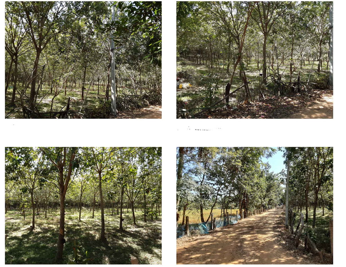 picture ที่ดินเปล่า 7748 square meter Ubon Ratchathani Khuang Nai Hua Don for 1647000 THB - 1/2